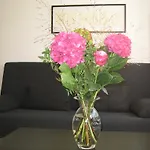 Grosszuegige Ferienwohnung In Dahlem